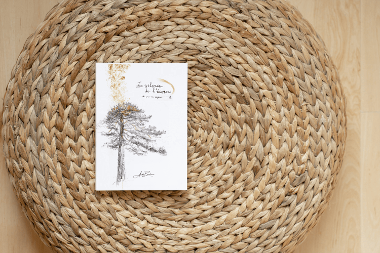 livre de dessins Aude Berliner